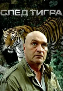 След тигра
