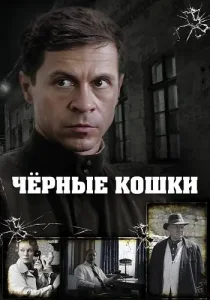 Чёрные кошки